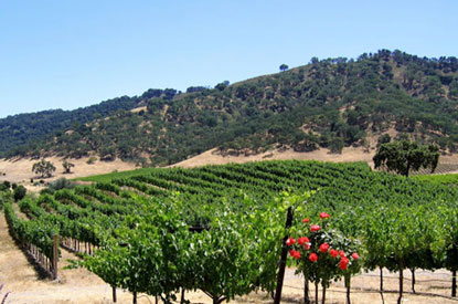 Gilroy Wineries